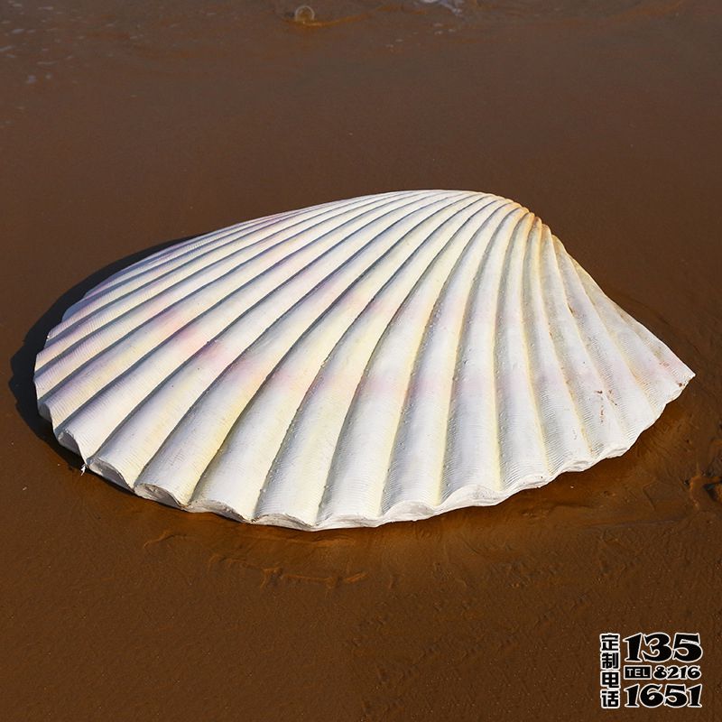 白色玻璃鋼仿真貝殼戶(hù)外海灘擺件 白色玻璃鋼仿真貝殼戶(hù)外海灘擺件